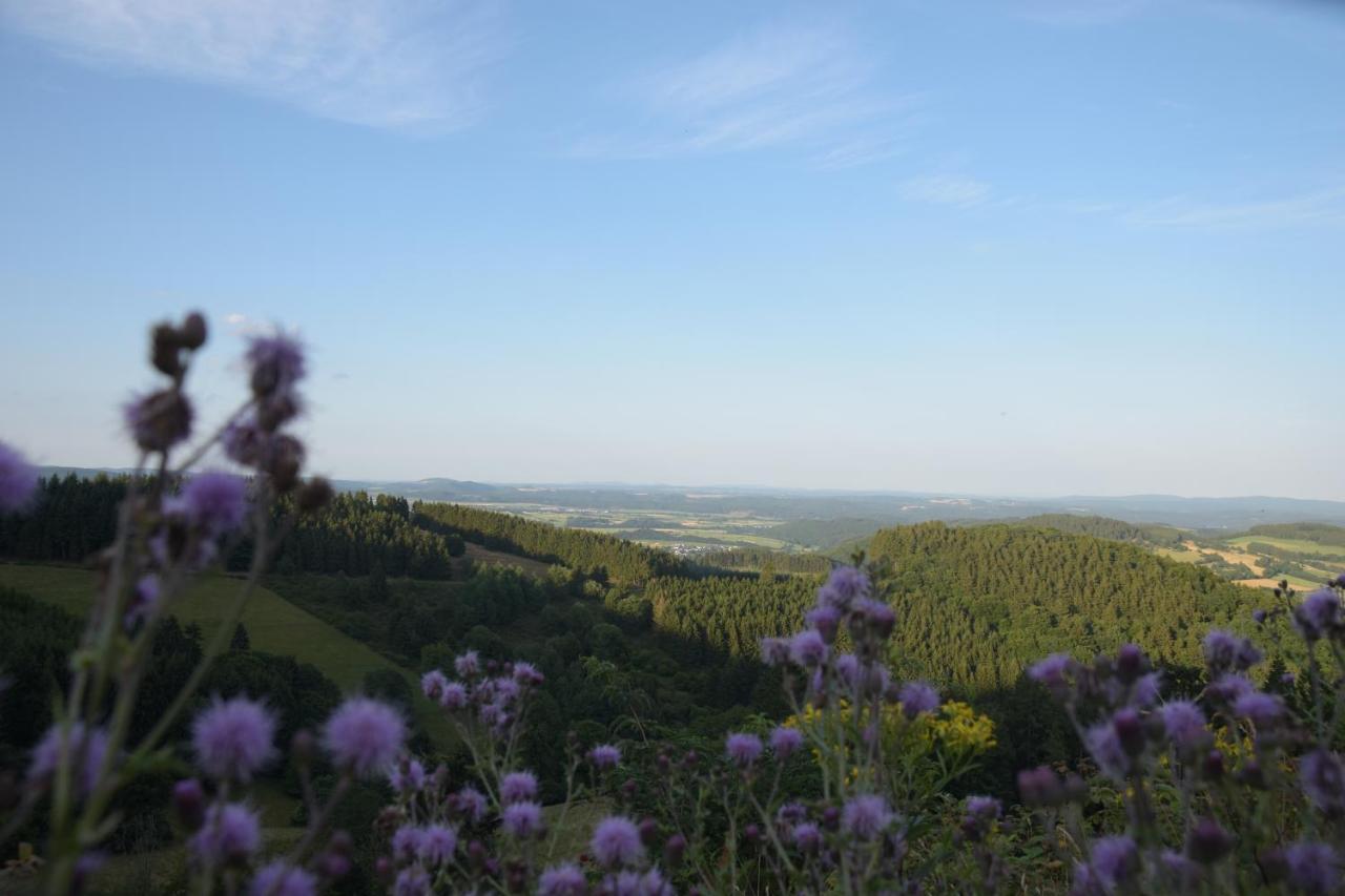 Ferienhaus Giebelei Medebach Kültér fotó